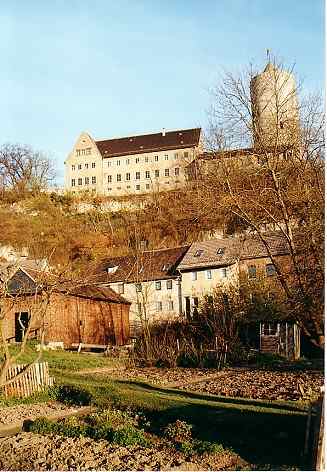 images/img0003.jpg