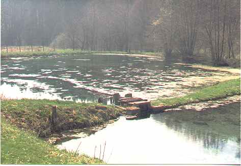 Fischteich bei Grokrbitz